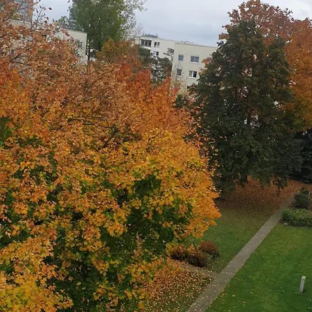 Appartement Komfortable 2-zimmer-monteurwohnung Fuer 4 Personen In Leipzig