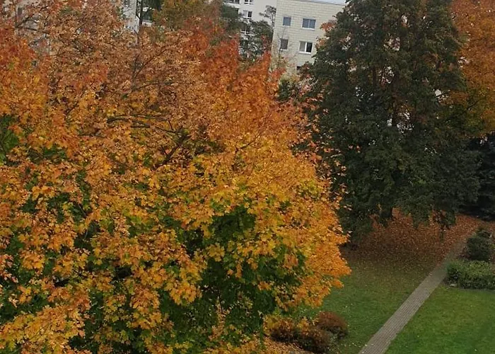 شقة Komfortable 2-zimmer-monteurwohnung Fuer 4 Personen In لبسيا